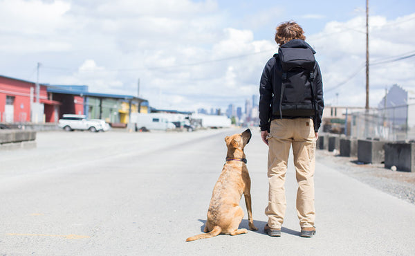 Nik standing in the alley behind the factory wearing the Shadow Guide 33. Next to him is a mixed-breed dog who looks up at him.